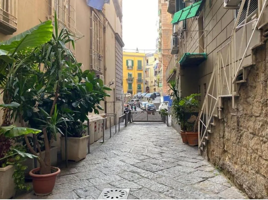 Vesuvio&Partenope Naples